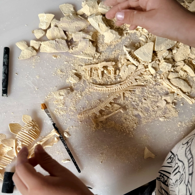 Woopie creatieve speelgoed dinosaurus skelet opgraving