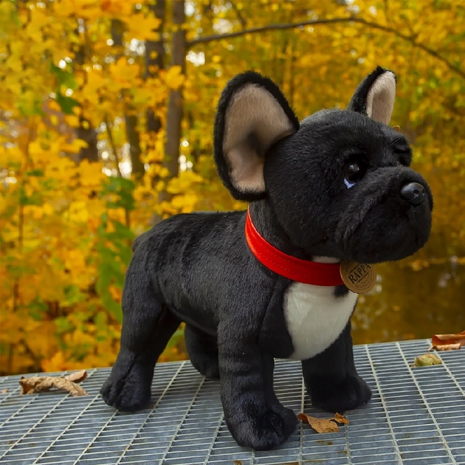 Zwarte Franse bulldog knuffel met halsband staand 30 cm ECO-FRIENDLY