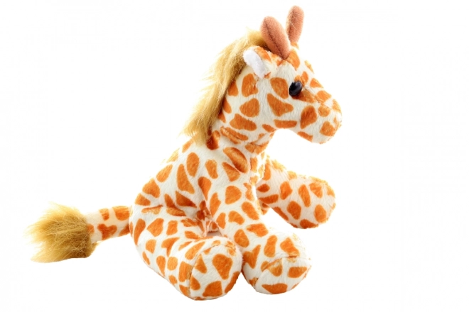 Stable Structure
