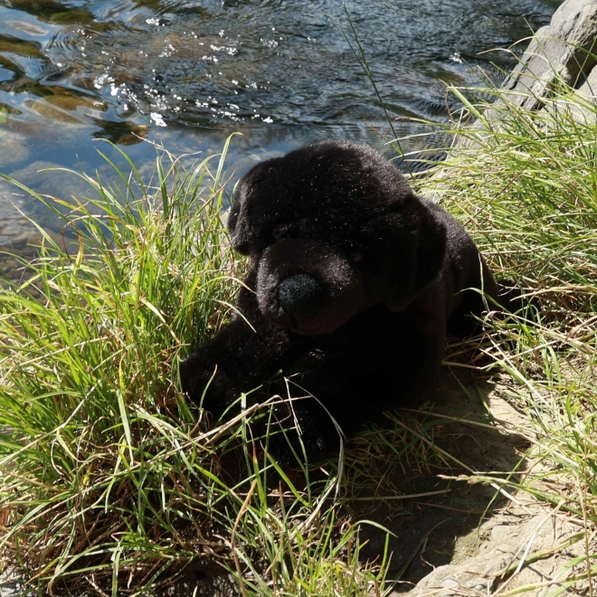 Pluchen labrador zwart 40 cm MILIEUVRIENDELIJK