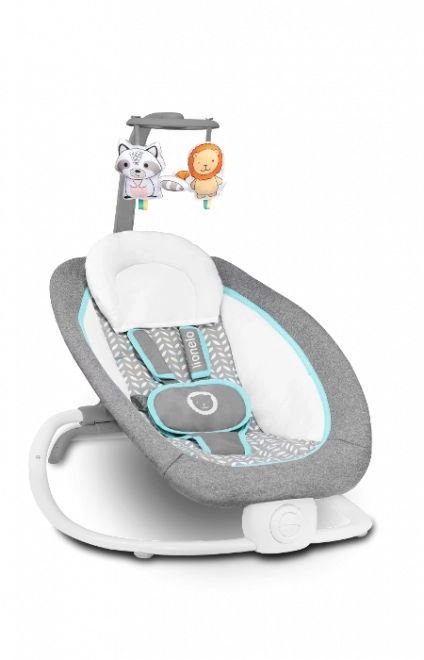 Babywipstoel Pascal van LIONELO – Grijs