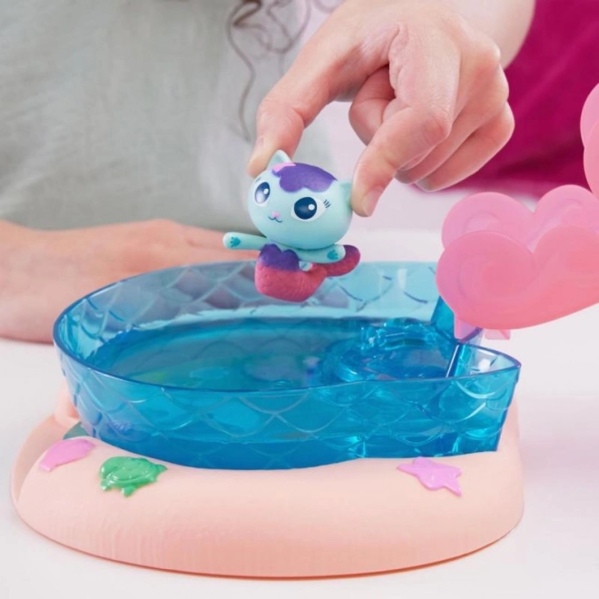 Katten Huize Gabi: Zwembadplezier