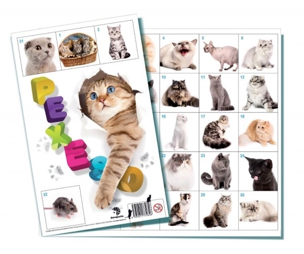 Pexeso Katten gezelschapsspel 32 afbeeldingen paren