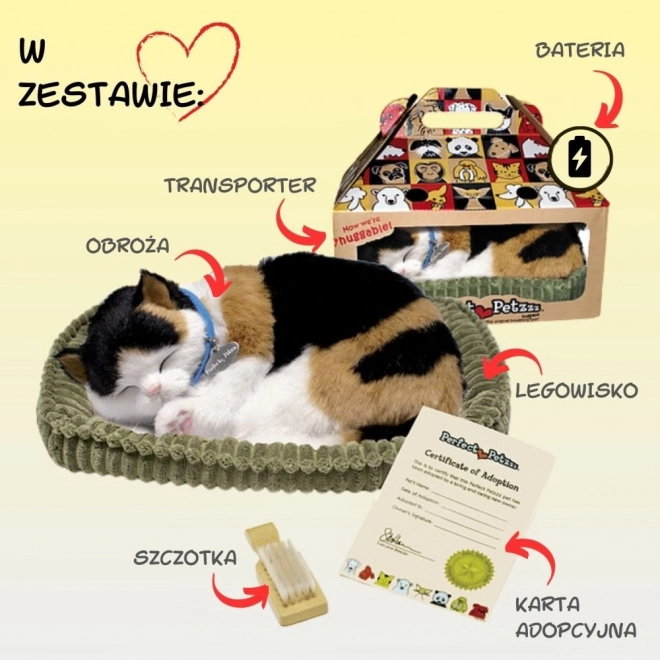 Adoptier mich dreifarbige Atemkatze
