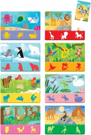 Illustrations colorées des animaux et de leur environnement