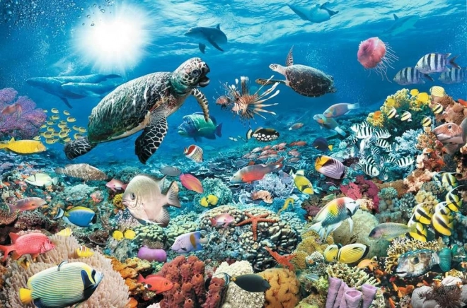 Amazing depiction of the underwater world