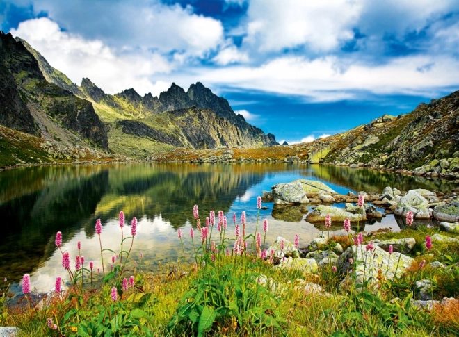 Paysage de montagne époustouflant