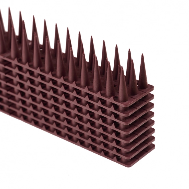Pointes dissuasives pour pigeons marron 8 pièces 43 cm