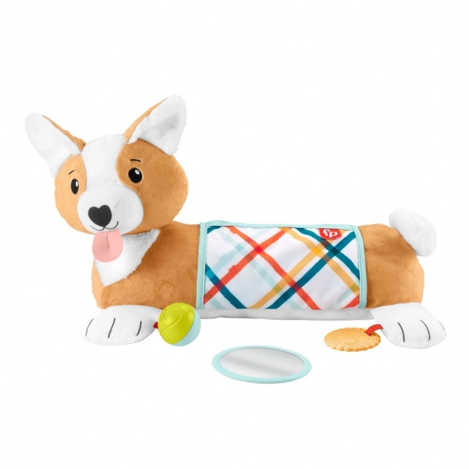 Bauchlage-Unterlage für Säuglinge von Fisher-Price