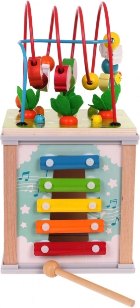Wooden Multifunctional Cube for Children
