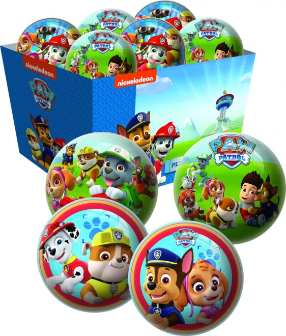 Bal met Paw Patrol