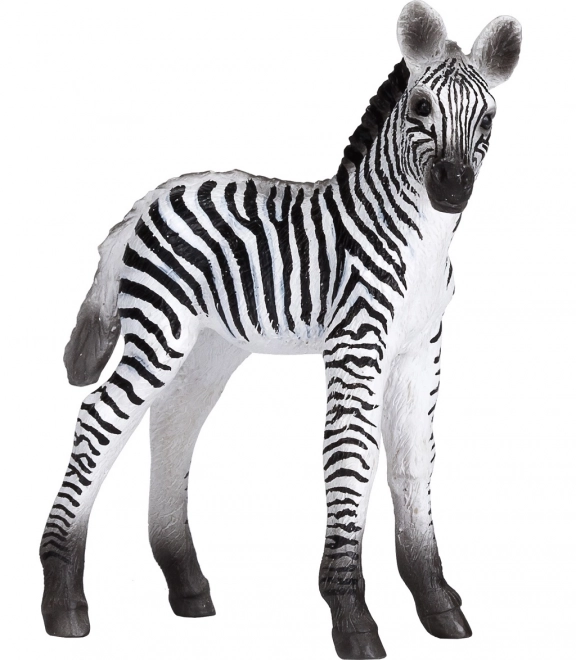 Realistische Zebra-Jungtierfigur