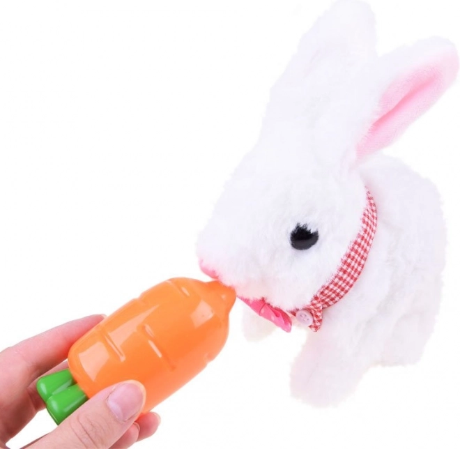 Fun feeding and learning responsibility