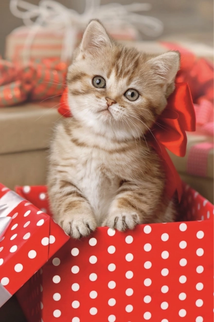Puzzle TREFL schattig katje 54 stukjes