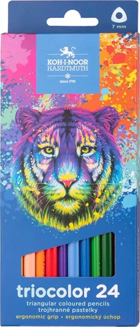 Crayons de couleur triangulaires KOH-I-NOOR Triocolor 12 pcs