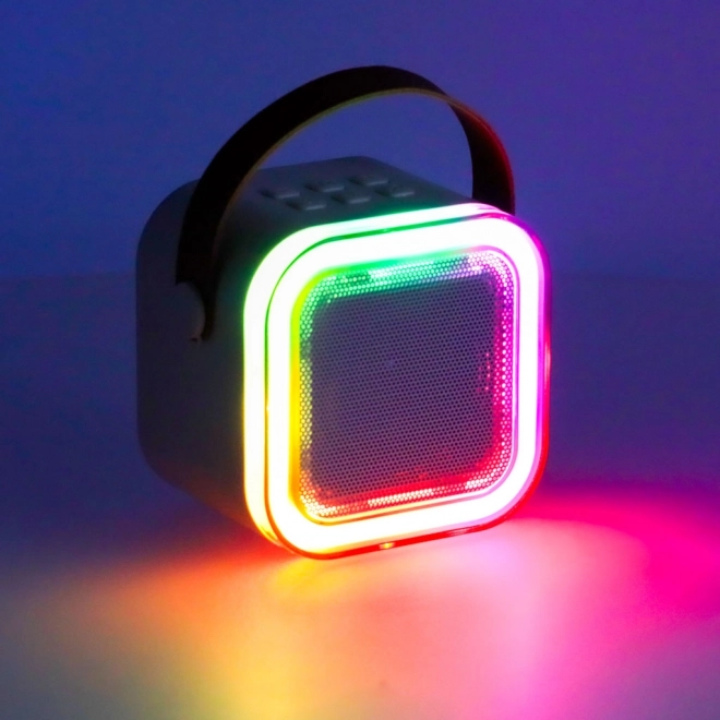 Ensemble karaoké 2 microphones + haut-parleur portable BLUETOOTH USB LED rose