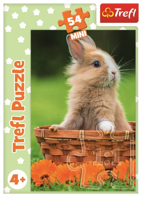 Trefl puzzel Schattige Dieren: konijntje in mandje 54 stukjes