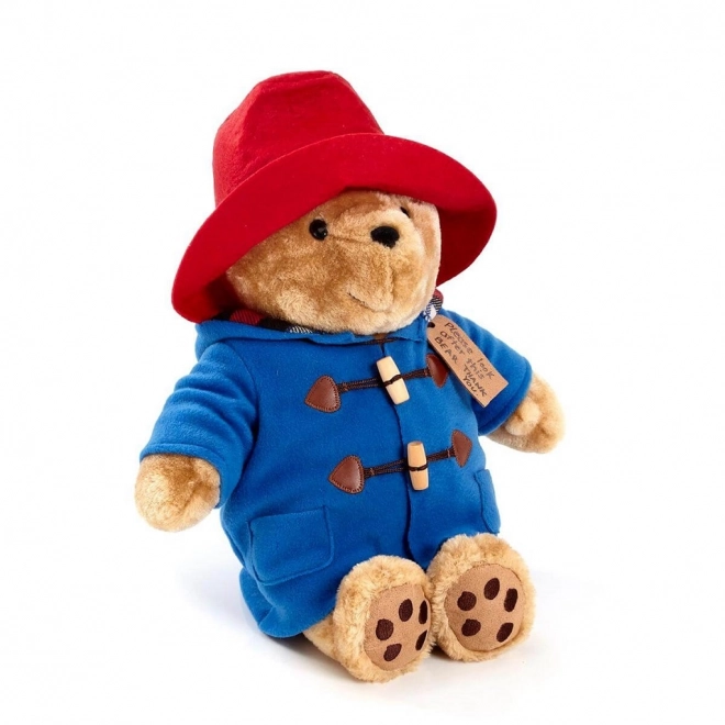 Rainbow Pluche Paddington groot