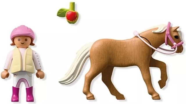 Bride amovible et accessoires