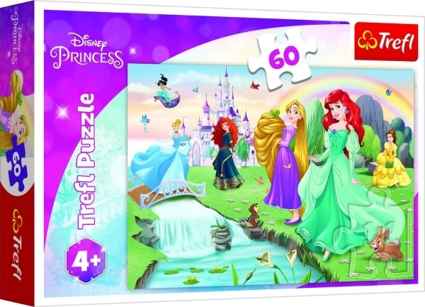 Puzzel Ontmoet de prinsessen 33x22cm 60 stukjes in doos 21x14x4cm