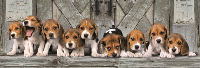 Puzzle panorama 1000 pièces beagle – emballage compact