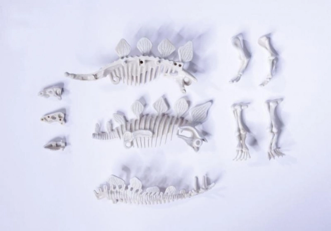 Set voor het opgraven en assembleren van dinosauriër skeletten
