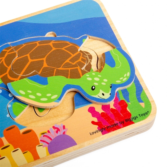 Puzzle Bigjigs Toys Cycle de vie de la tortue