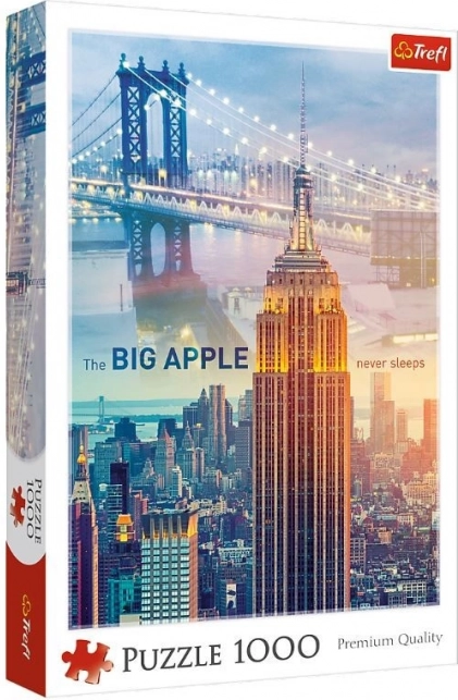 Puzzel 1000 stukjes New York bij zonsopgang