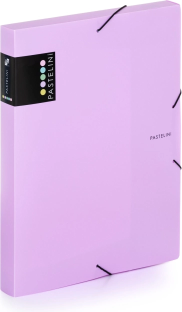 Archival box A4 PASTELINI purple