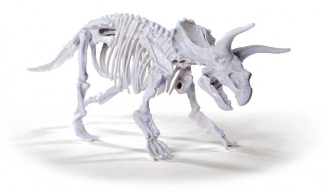 Set voor het opgraven en assembleren van dinosauriër skeletten