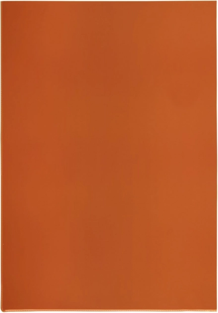 Transparent A4 L Sleeve from PVC, red, 140 microns