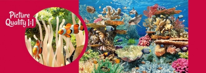 Puzzel Koraalrif 500 stukjes