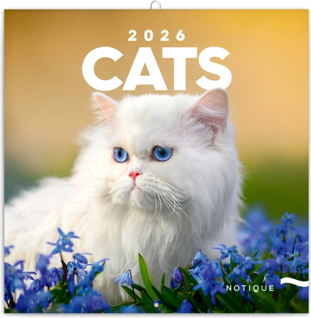 Notes Calendar Cats 2026