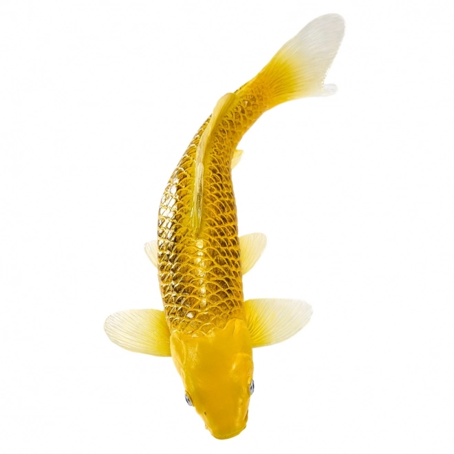Mojo karper koi Matsuba