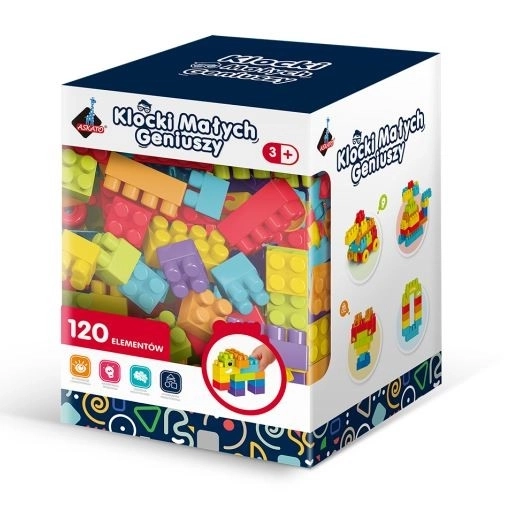 Blokken Kleine Genieën 120 stuks
