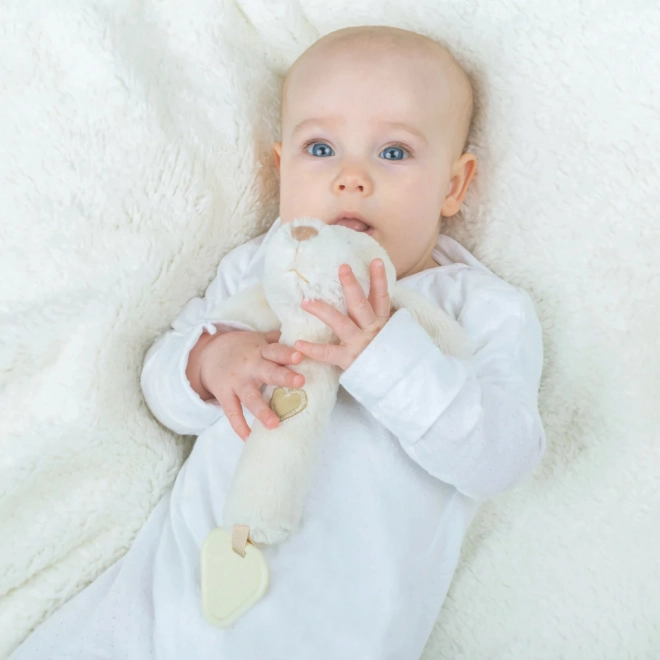 Bigjigs Baby Rammelaar 3in1 hondje