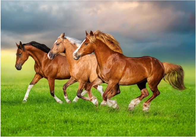 Puzzel 500 stukjes – Paarden rennend in de lente