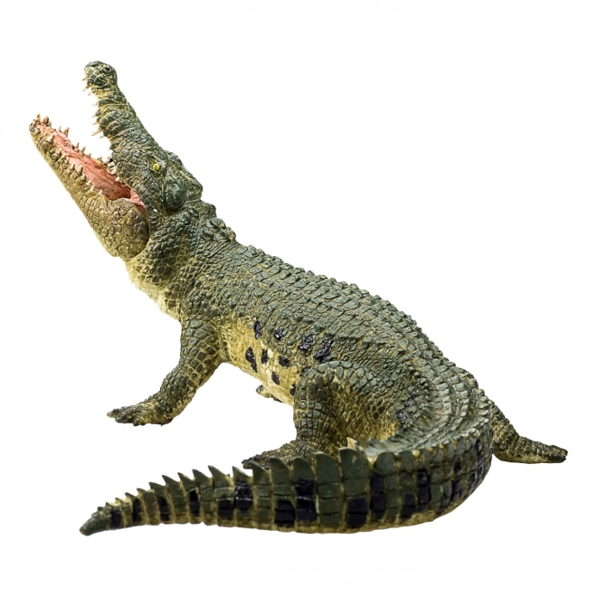 Realistisches Krokodil mit Beweglichem Kiefer