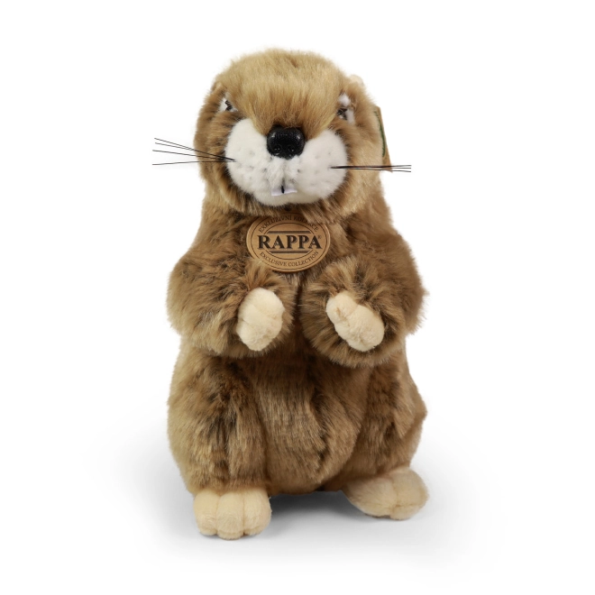 Apparence réaliste et peluche toute douce
