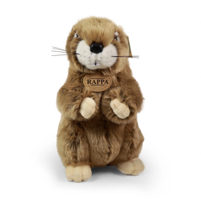 Pluchen marmot 23 cm ECO-VRIENDELIJK