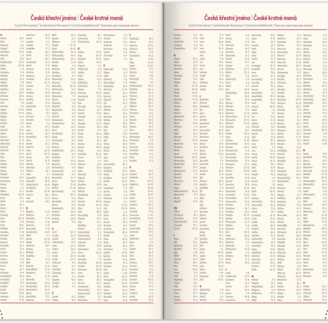 Zakagenda Zwart-gouden Twill 2026