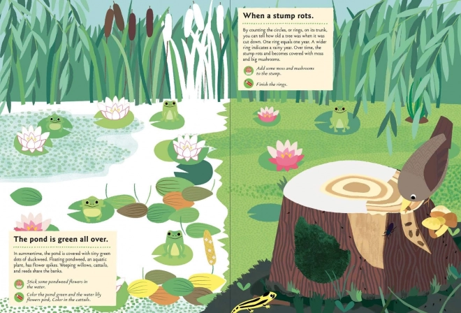 Chronicle Books Activiteitenboek met stickers mijn natuur In het bos