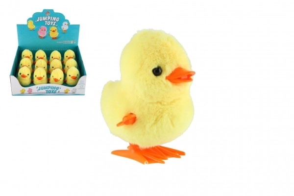 Springende eend opwinden