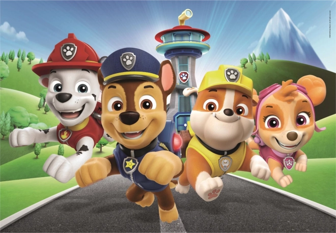 CLEMENTONI Puzzel Paw Patrol 60 stukjes