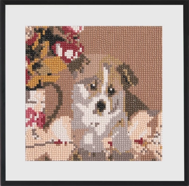 GRAFIX Diamantschilderij Schattige Puppy 20x20cm