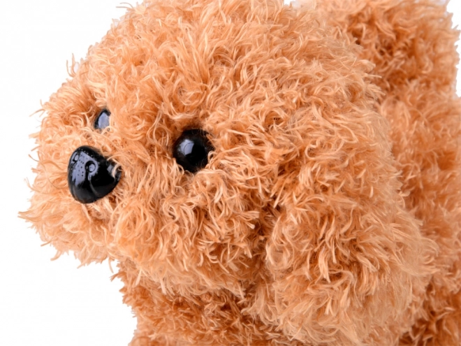 Interactieve hondenset voor de kleine dierenarts