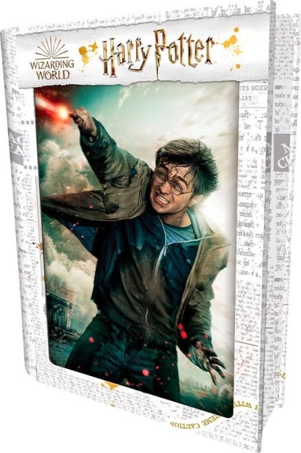 3D-puzzel HARRY POTTER – Harry, 300 stukjes