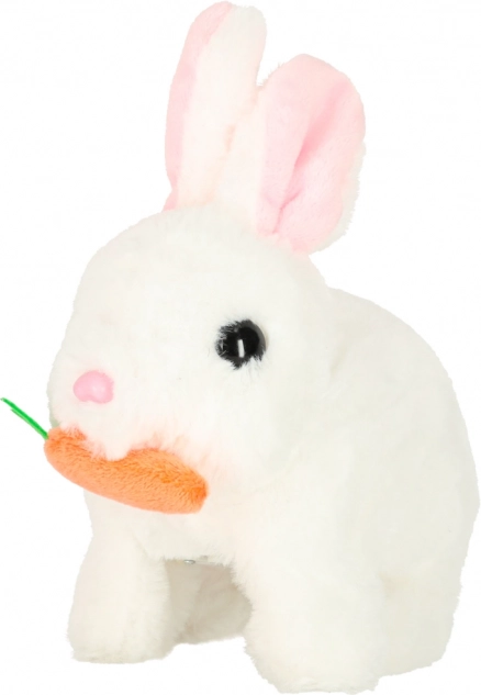 Lapin Interactif avec Carotte