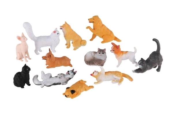 Various animal species