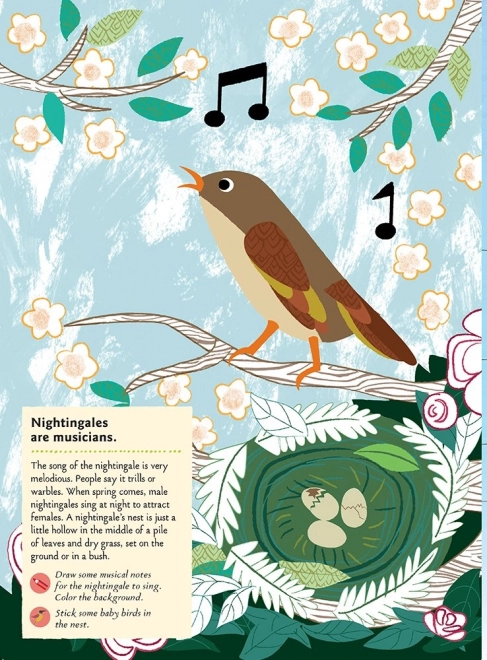 Chronicle Boeken Activiteitenboek met stickers mijn natuur Vogels van de wereld
